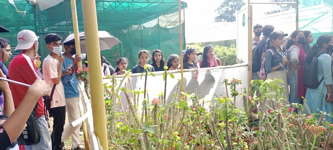 bafaa2db-26ff-4974-a66f-9fe72369b4ed